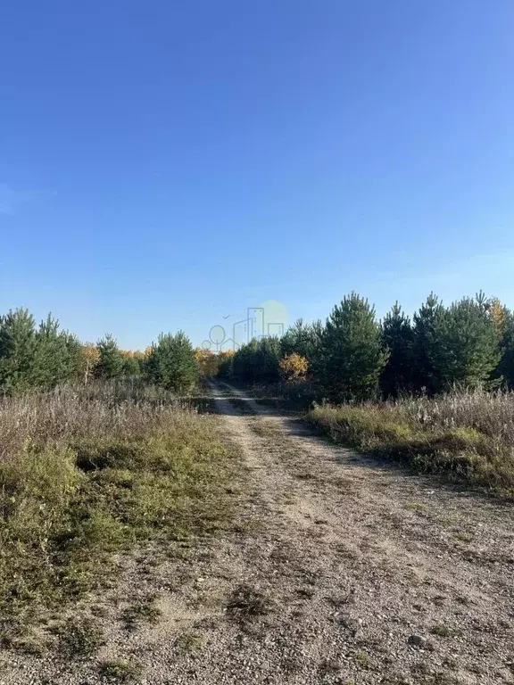 Участок в Иркутская область, Иркутский муниципальный округ, д. ... - Фото 2