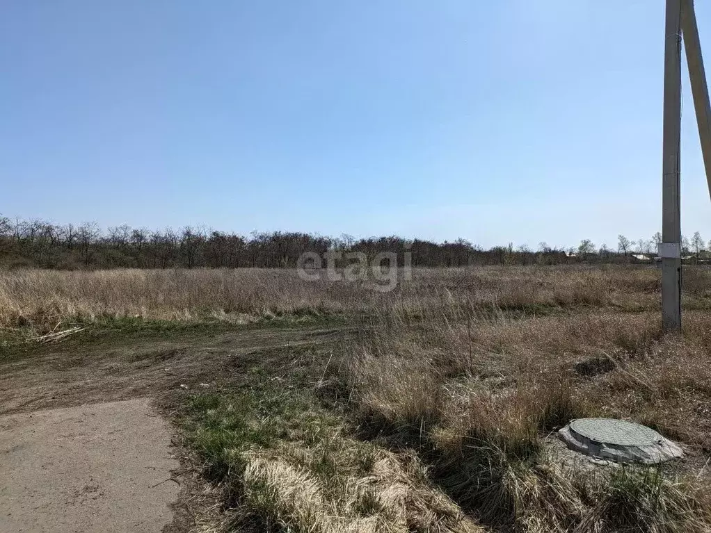 Участок в Белгородская область, Белгородский район, Разумное рп ул. ... - Фото 1