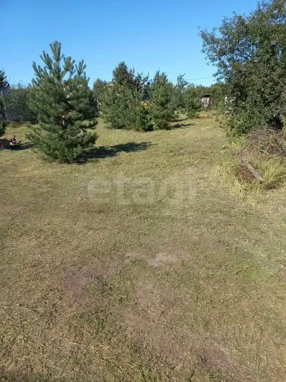 Участок в Воронежская область, Рамонский район, Новоживотинновское ... - Фото 2