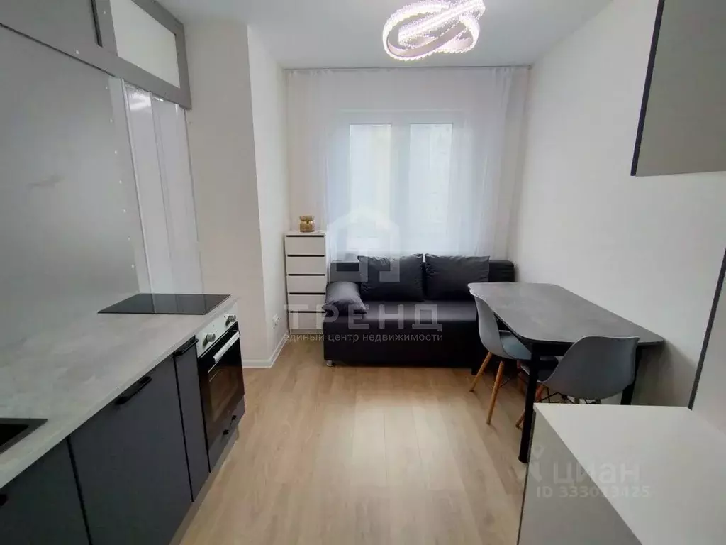 Студия Санкт-Петербург дор. Муринская, 4к1 (20.2 м) - Фото 2