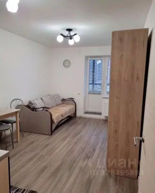 Студия Санкт-Петербург пос. Парголово, ул. Шишкина, 307 (21.0 м) - Фото 1