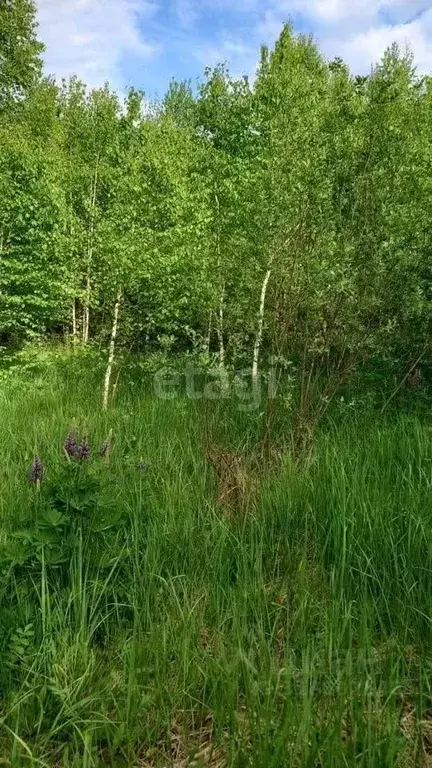 Участок в Башкортостан, Иглинский район, Калтымановский сельсовет, ... - Фото 0