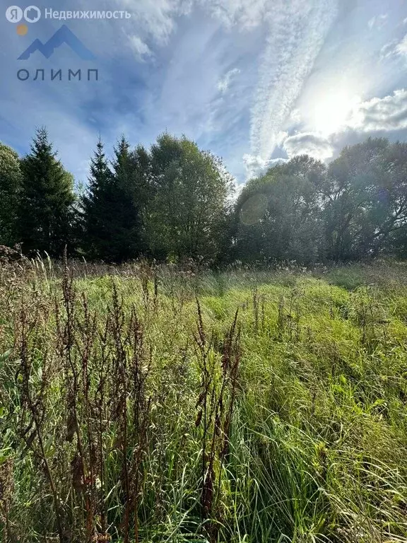 Участок в Ивняковское сельское поселение, деревня Скоково (9.5 м) - Фото 1