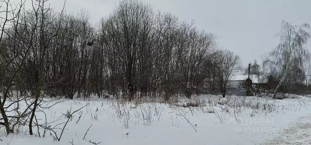 Участок в Московская область, Луховицы  (15.11 сот.) - Фото 1