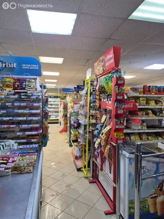 Торговая площадь (146.3 м) - Фото 2