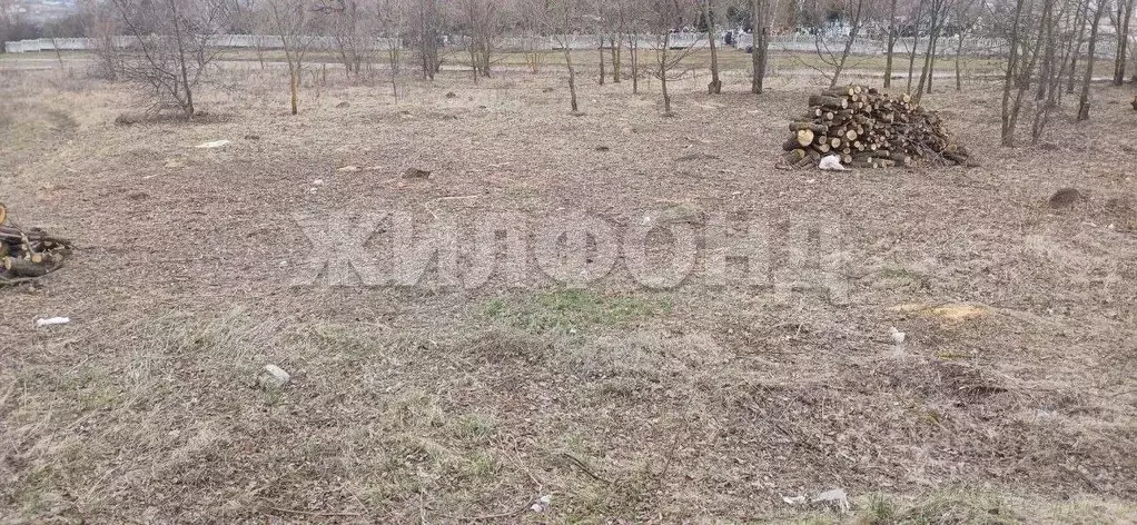 Участок в Воронежская область, Семилуки  (10.0 сот.) - Фото 1