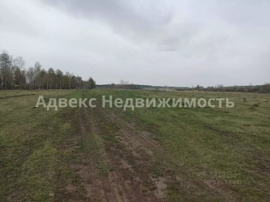 Участок в Тюменская область, Ярковский муниципальный округ, д. Мотуши  ... - Фото 1