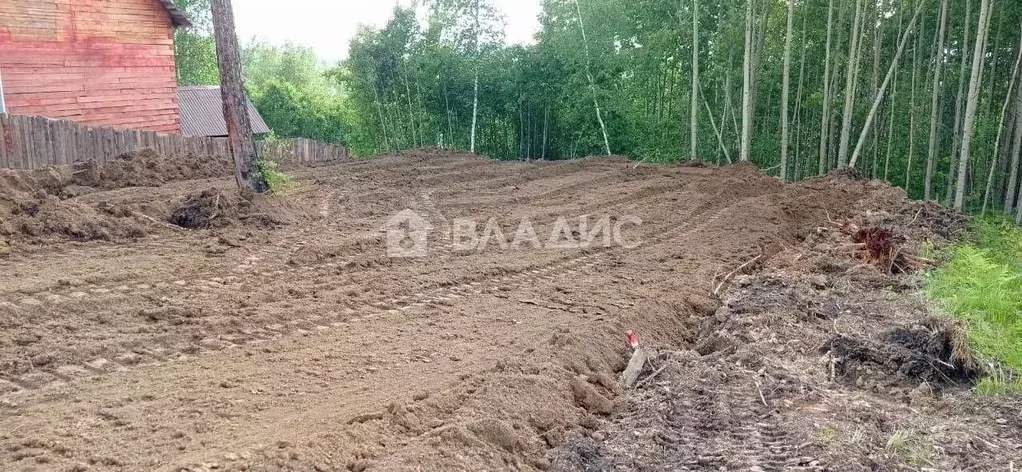 Участок в Иркутская область, Иркутский муниципальный округ, д. ... - Фото 2