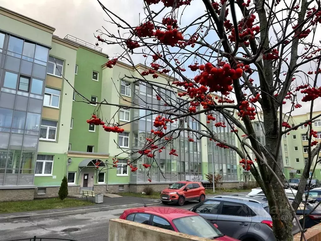 Студия Ленинградская область, Сертолово Всеволожский район, ... - Фото 1