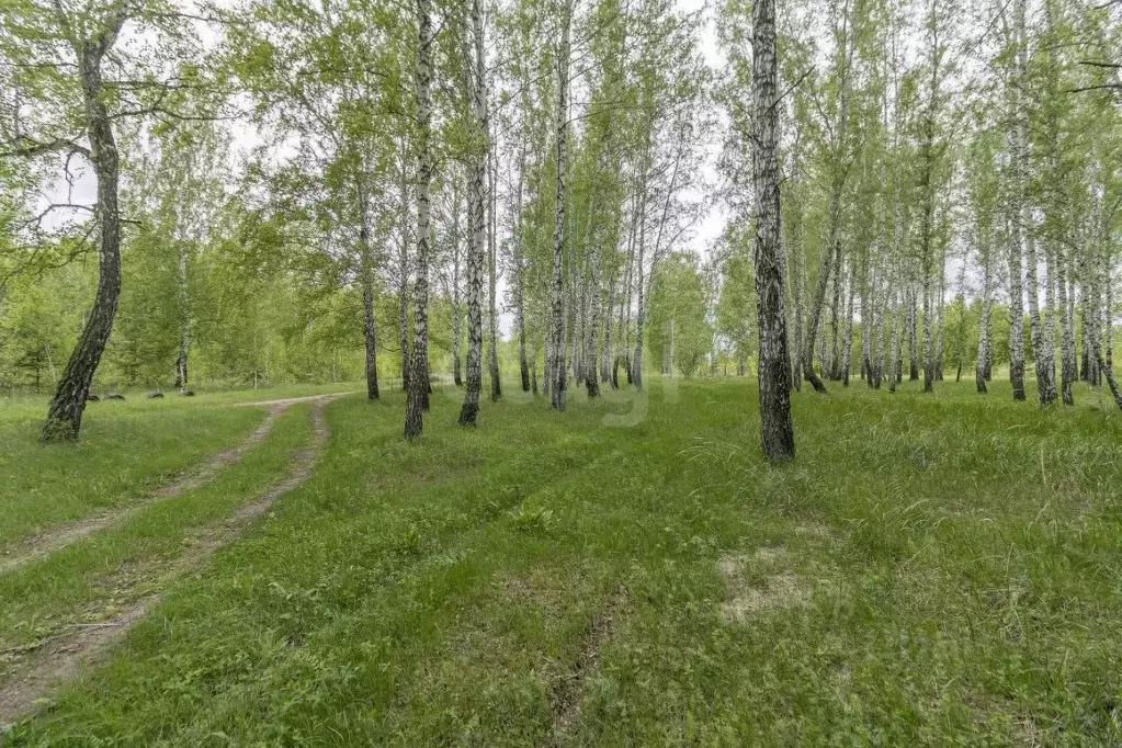 Участок в Тюменская область, Тюменский муниципальный округ, ... - Фото 1