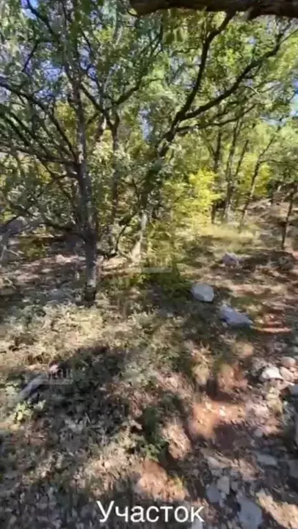 Участок в Крым, Ялта муниципальный округ, Гаспра пгт ш. ... - Фото 1