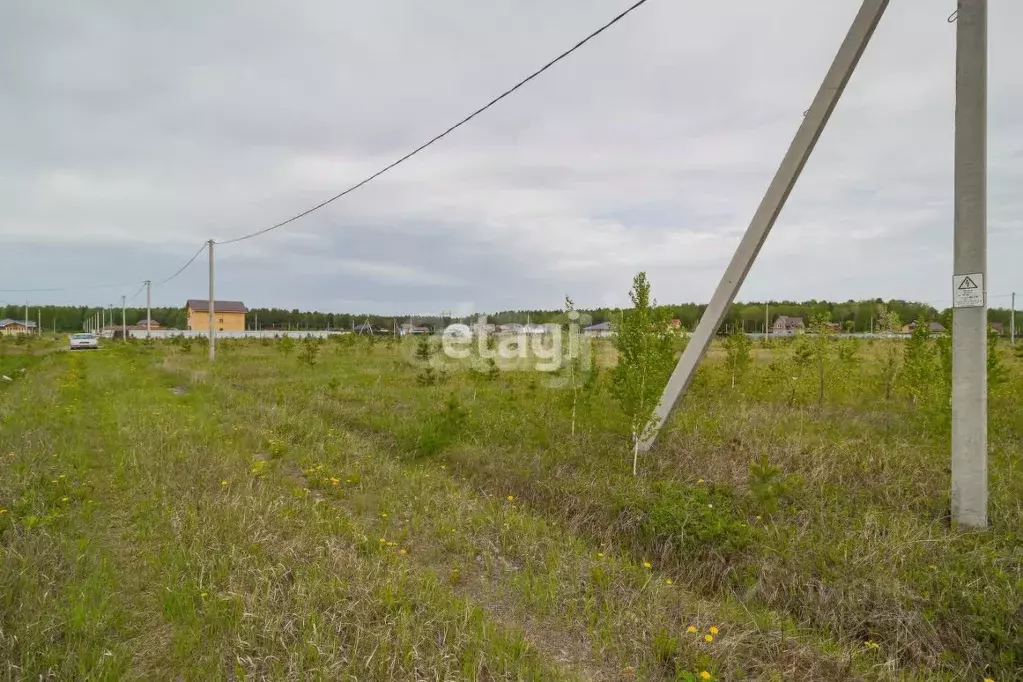 Участок в Тюменская область, Тюменский муниципальный округ, Каменское ... - Фото 1