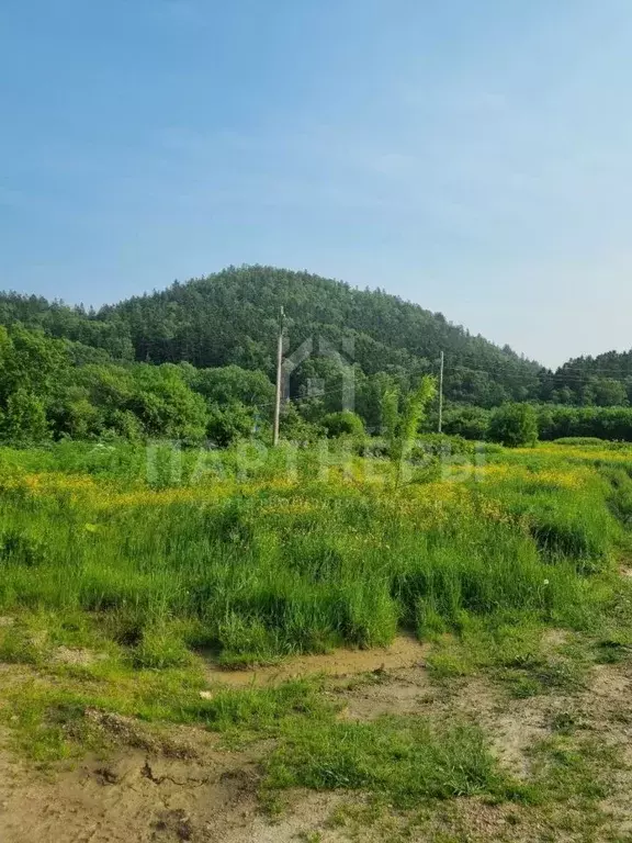 Участок в Сахалинская область, Корсаковский городской округ, с. Лесное ... - Фото 2