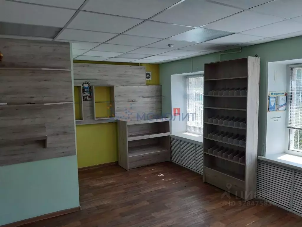 Помещение свободного назначения в Нижегородская область, Богородский ... - Фото 1