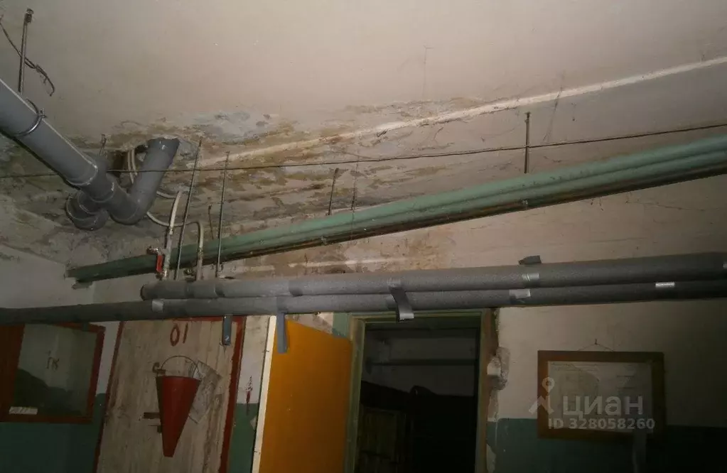 Помещение свободного назначения в Новосибирская область, Новосибирск ... - Фото 1