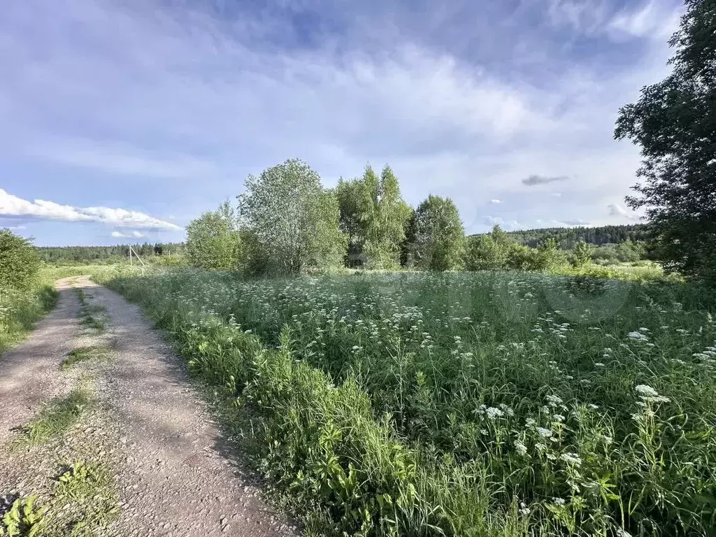 Участок 16,5 сот. (личное подсобное хозяйство (лпх)) - Фото 0