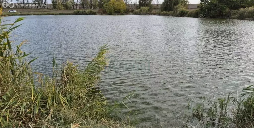 Участок в Щепкинское сельское поселение, хутор Нижнетемерницкий (6 м) - Фото 0