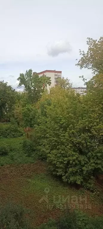 2-к кв. Нижегородская область, Дзержинск ул. Петрищева, 9 (42.68 м) - Фото 1