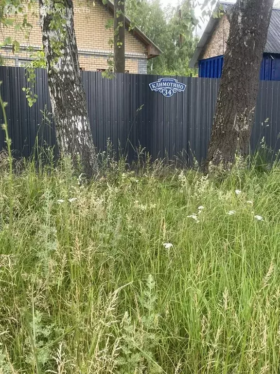 Участок в Нижегородская область, муниципальный округ Чкаловск, деревня ... - Фото 1