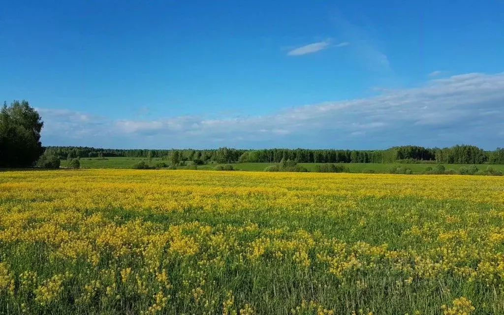 Участок в Московская область, Красногорск городской округ, д. ... - Фото 0