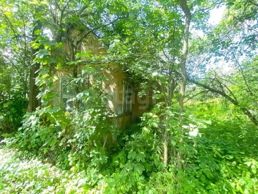 Участок в Брянская область, Брянск Природа садоводческое объединение,  ... - Фото 0