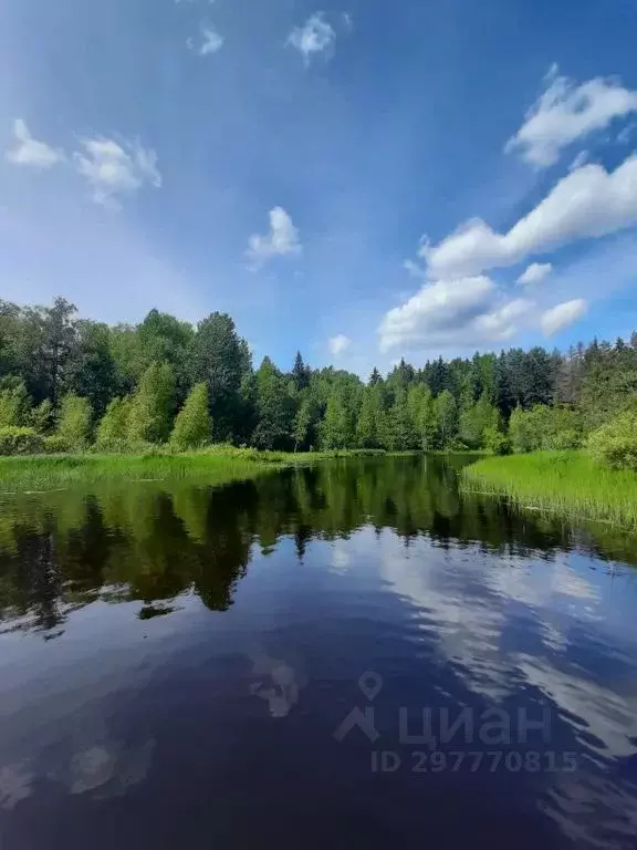 Дом в Ленинградская область, Выборгский район, Полянское с/пос, пос. ... - Фото 2
