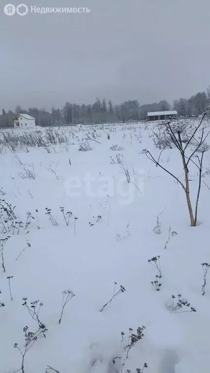 Участок в Волосовский район, Большеврудское сельское поселение, ... - Фото 1