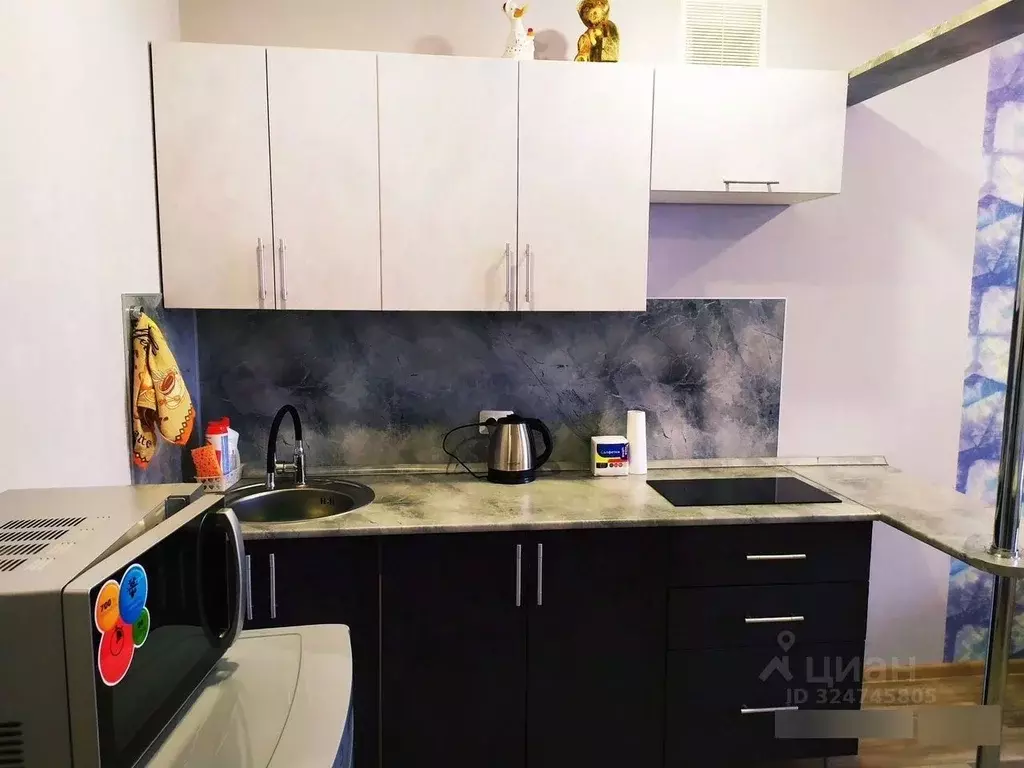 Студия Саратовская область, Саратов Огородная ул., 157 (28.0 м) - Фото 2