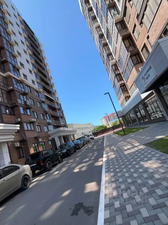 1-к кв. Краснодарский край, Анапа ул. Омелькова, 93 (41.5 м) - Фото 2