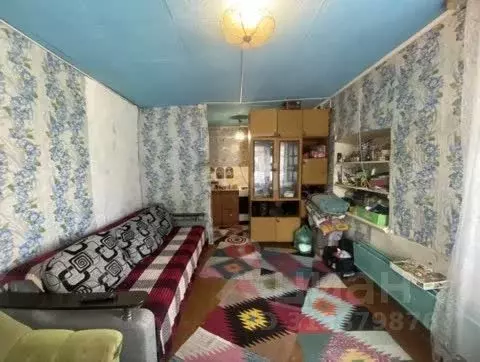 Студия Курганская область, Шадринск Советская ул., 77 (18.0 м) - Фото 0