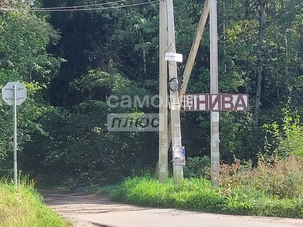 Участок в Калужская область, Боровский муниципальный округ, Кривское ... - Фото 1