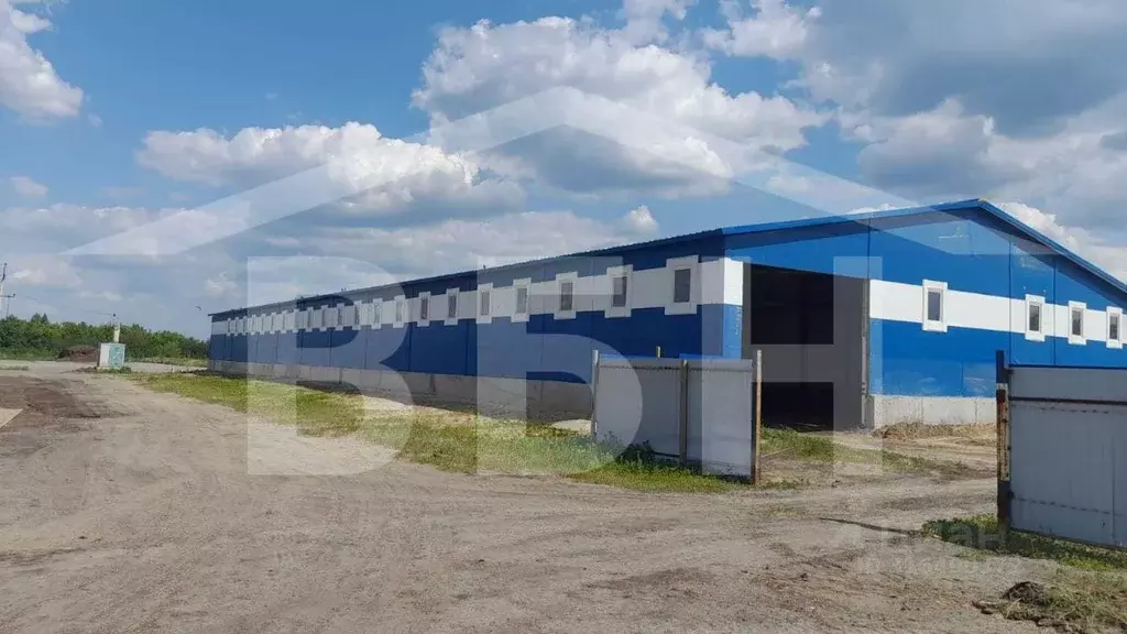 Склад в Воронежская область, Павловск Строительная ул., 13 (1200 м) - Фото 0