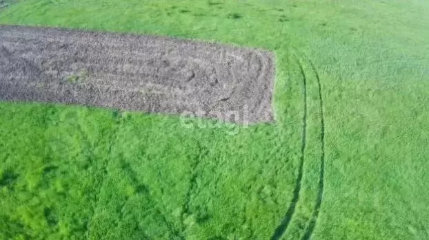 Участок в Амурская область, Благовещенск городской округ, с. Садовое  ... - Фото 2