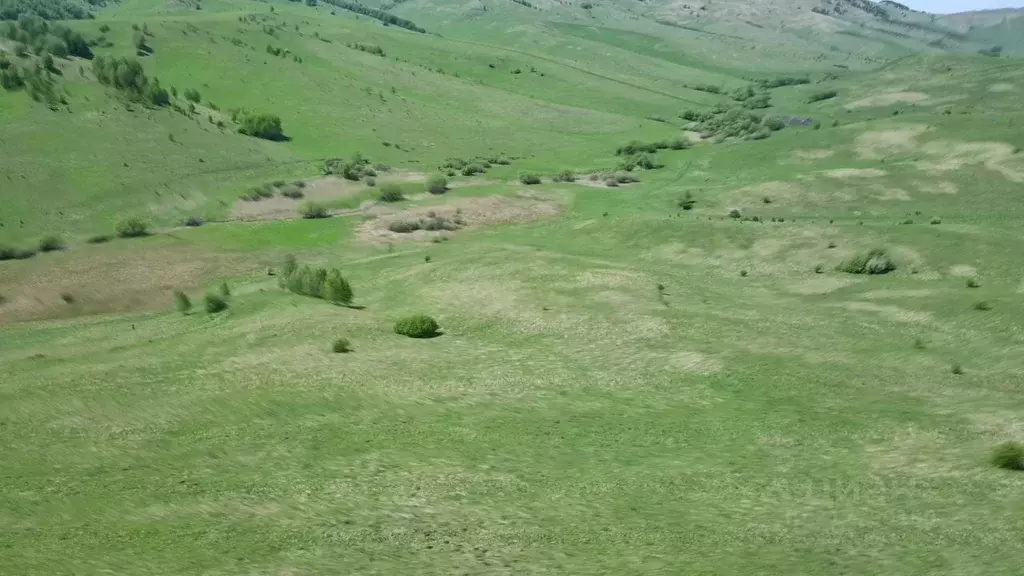 Участок в Алтайский край, Алтайский район, Айский сельсовет  (3800.0 ... - Фото 0