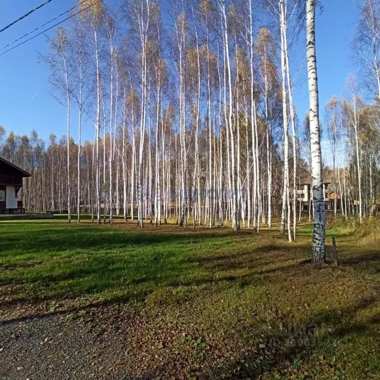 Участок в Нижегородская область, Кстовский муниципальный округ, с. ... - Фото 0