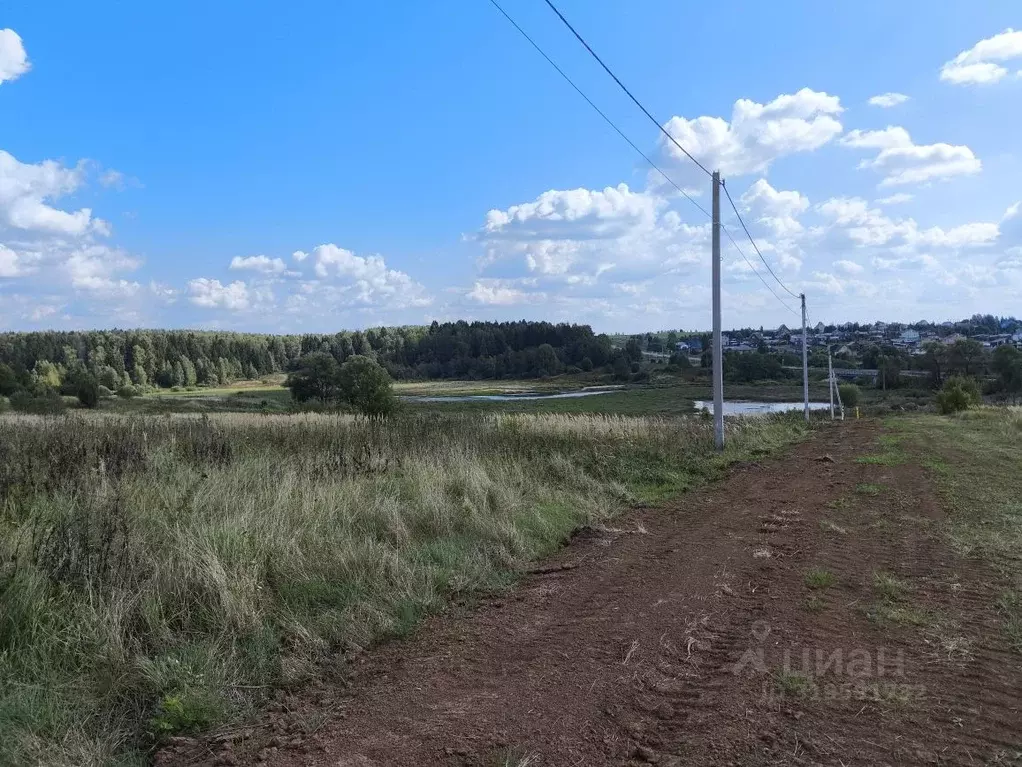 Участок в Владимирская область, Кольчугинский район, Ильинское ... - Фото 1