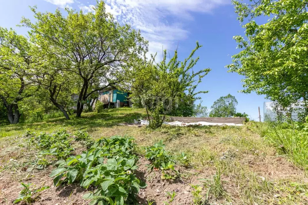 Дом в Хабаровский край, Хабаровский район, Рассвет СНТ 96 (20 м) - Фото 1