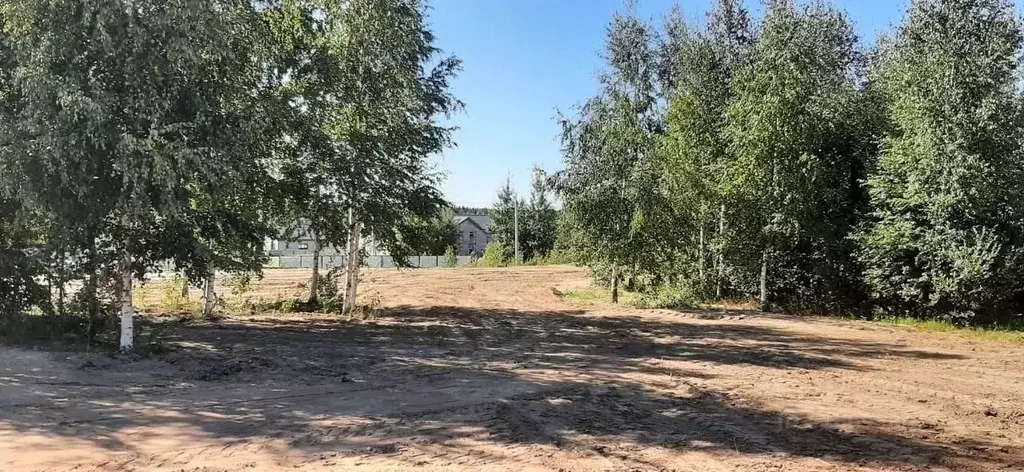 Участок в Ленинградская область, Всеволожский район, Агалатовское ... - Фото 0