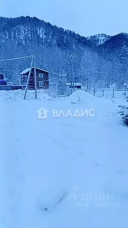 Участок в Алтай, Майминский район, Соузгинское с/пос, Катунь ДНП  ... - Фото 1