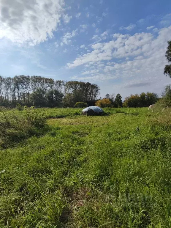 Участок в Пермский край, Осинский городской округ, с. Горы ул. ... - Фото 0