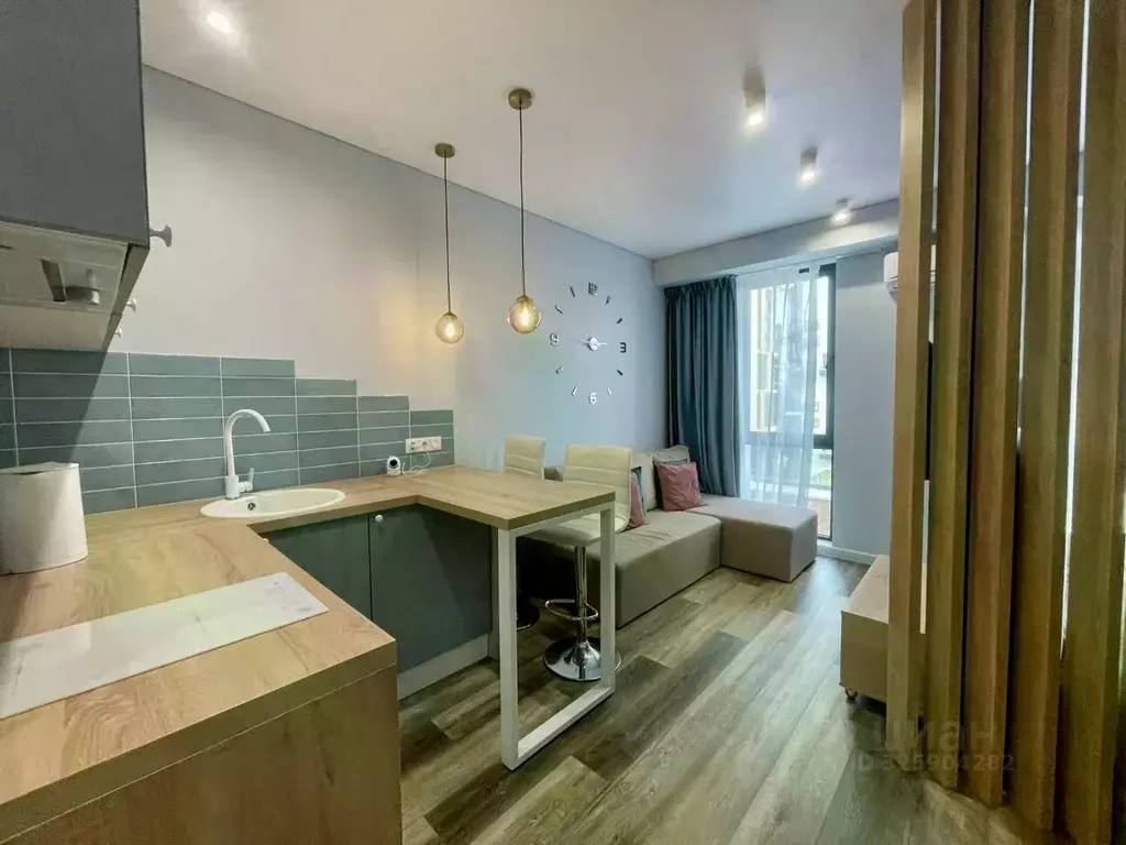 Студия Краснодарский край, Сочи Курортный просп., 96Гк1 (29.1 м) - Фото 1