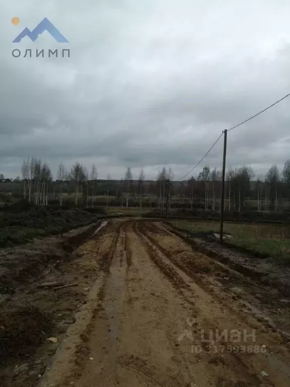 Участок в Вологодская область, д. Тимофеевское ул. Просторная (15.0 ... - Фото 1