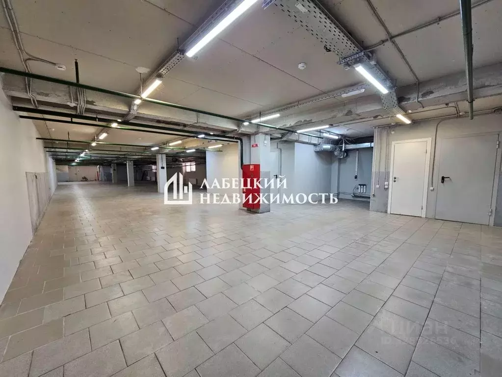 Помещение свободного назначения в Санкт-Петербург Бестужевская ул., ... - Фото 1