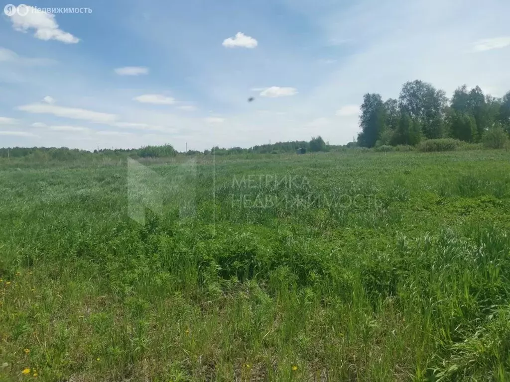 Участок в Тюмень, ДНТСН Зелёный Бор (11 м) - Фото 1