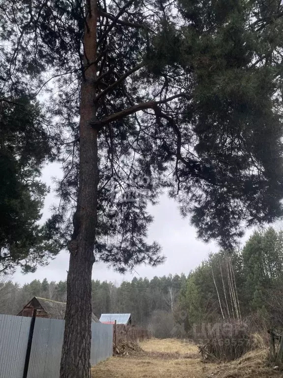 Участок в Пензенская область, Пенза ул. Камыши-Хвощи (18.0 сот.) - Фото 0