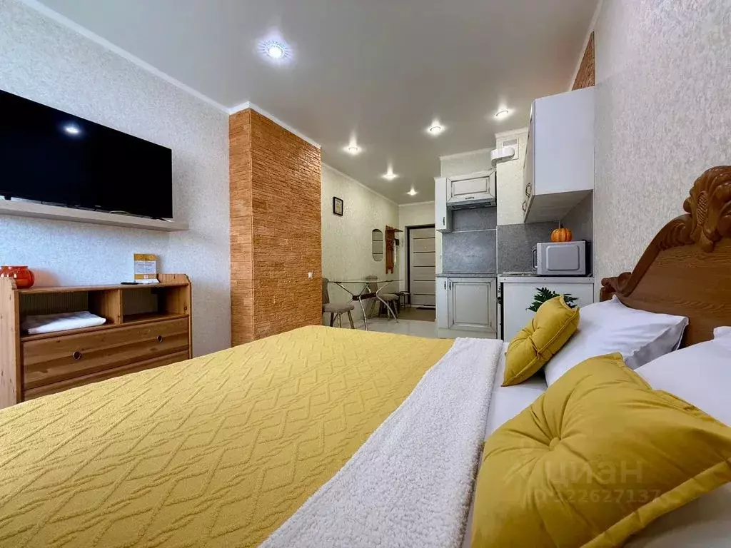 Студия Ростовская область, Ростов-на-Дону Береговая ул., 6 (23.0 м) - Фото 2