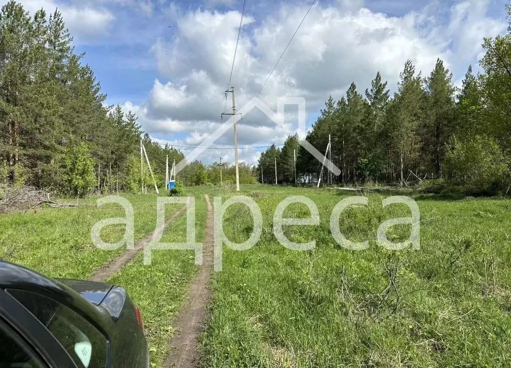 Участок в Самарская область, Красноярский район, Старая Бинарадка ... - Фото 1