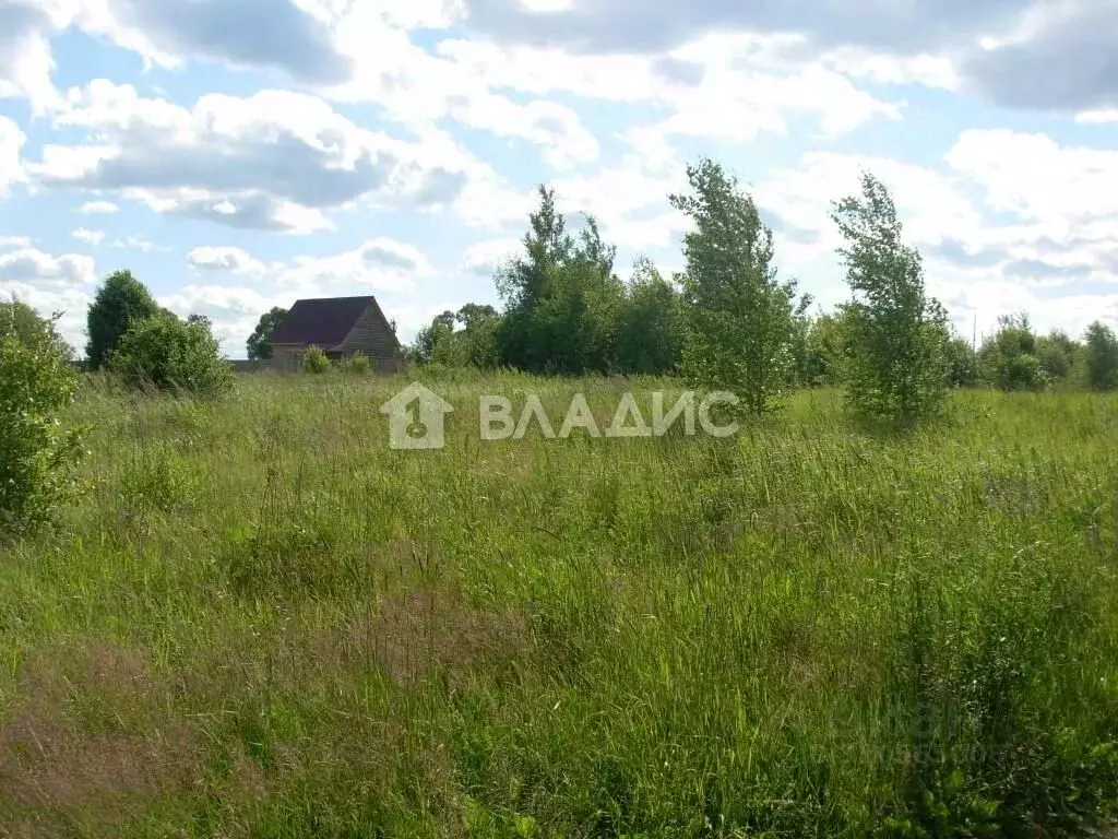 Участок в Владимирская область, Судогодский район, Лавровское ... - Фото 1