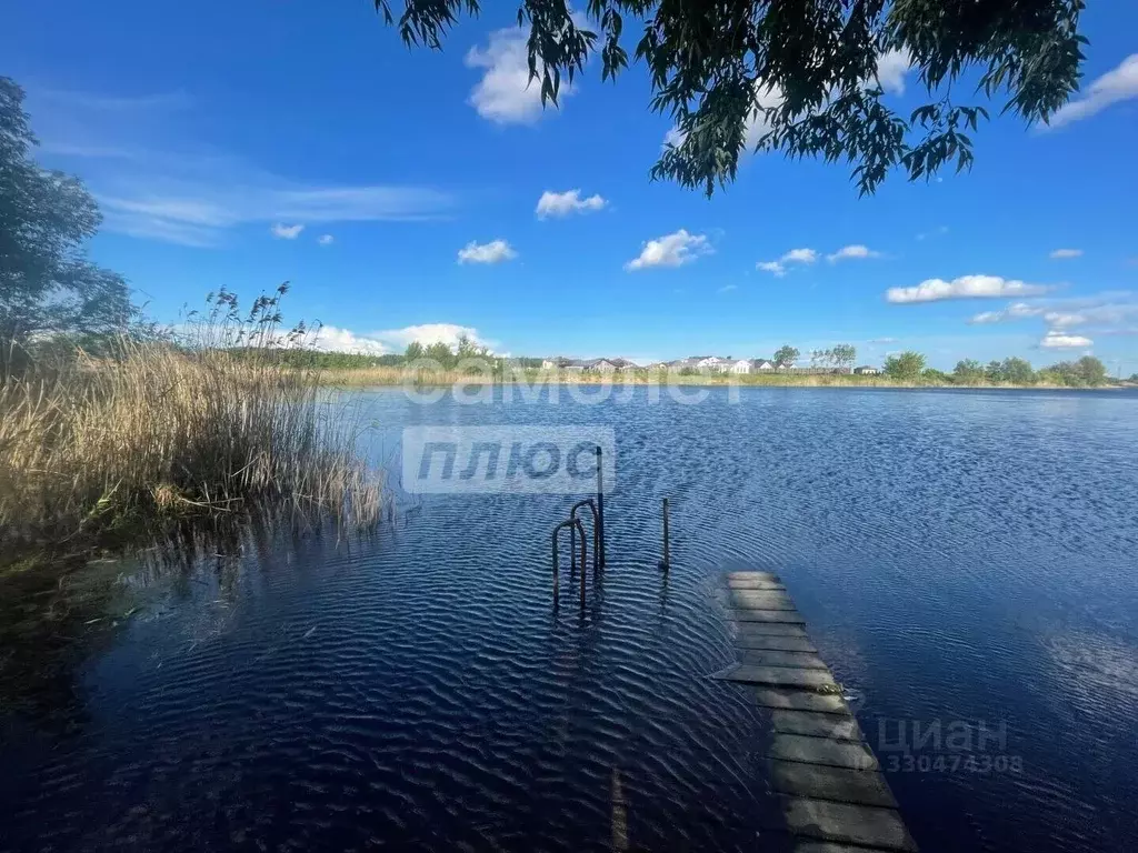 Участок в Воронежская область, Воронеж ул. Юбилейная, 37 (10.0 сот.) - Фото 2