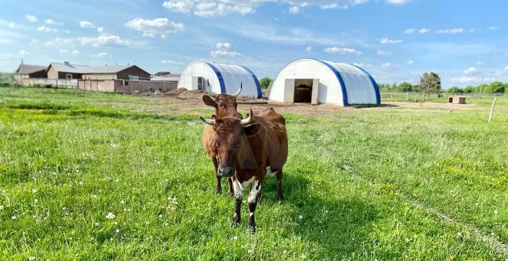 Продам помещение свободного назначения, 168 м - Фото 0